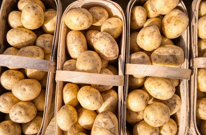 В Україні стрімко здорожчала картопля: які ціни зараз