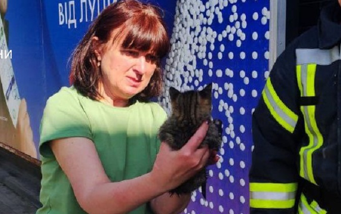 У Луцьку рятувальники дістали котика з водяної пастки (фото)