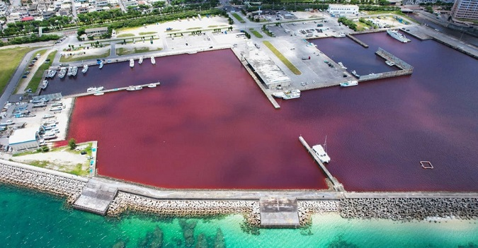 В Японії озеро стало червоного кольору через пивзавод