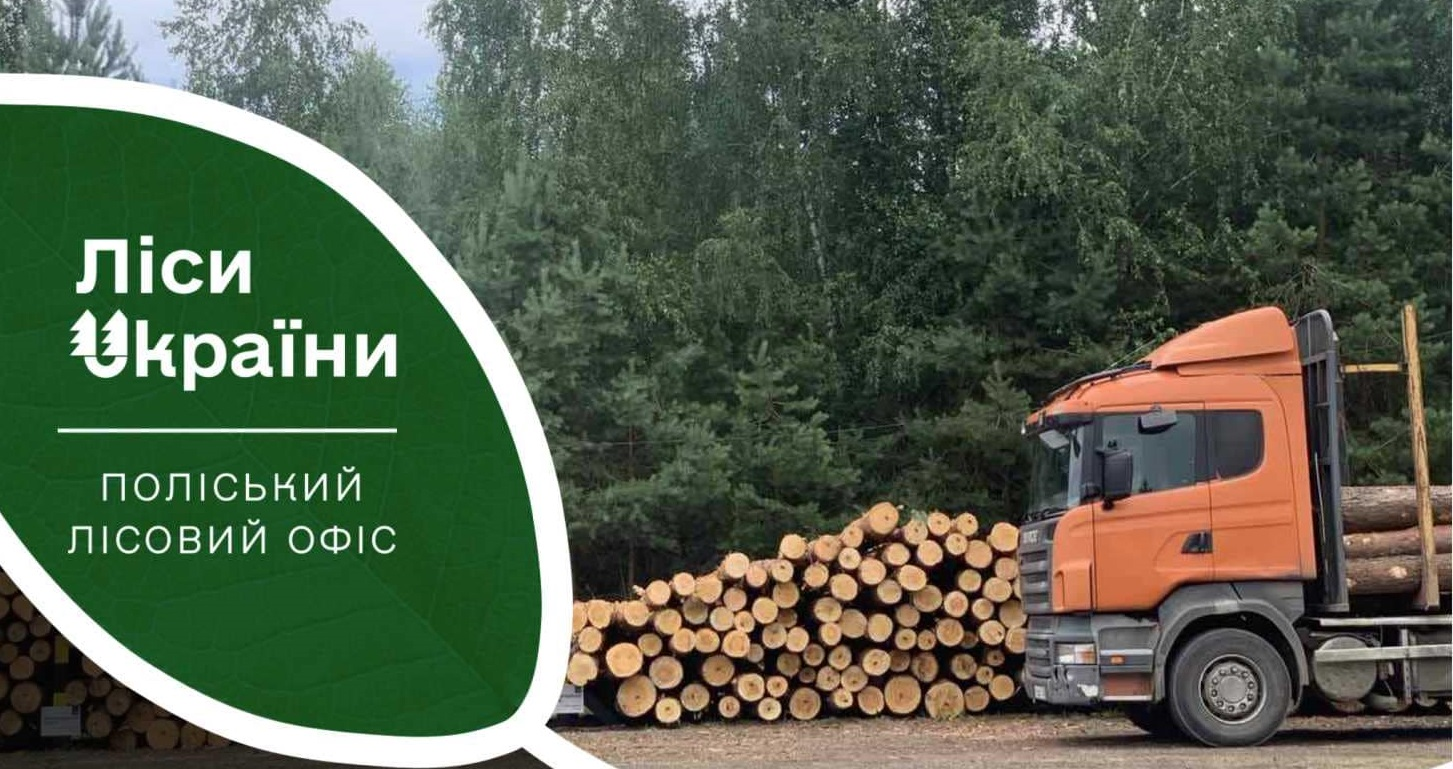 Скільки деревини Поліський лісовий офіс віддав військовим Волині