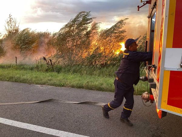 Сміття, чагарники і торф: на Волині рятувальники загасили три пожежі (фото)