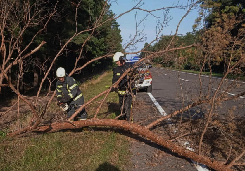 На Камінь-Каширщині повалене дерево перегородило дорогу (фото)