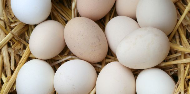 Покручені яйця: у колекції волинського майстра – поповнення (фото)