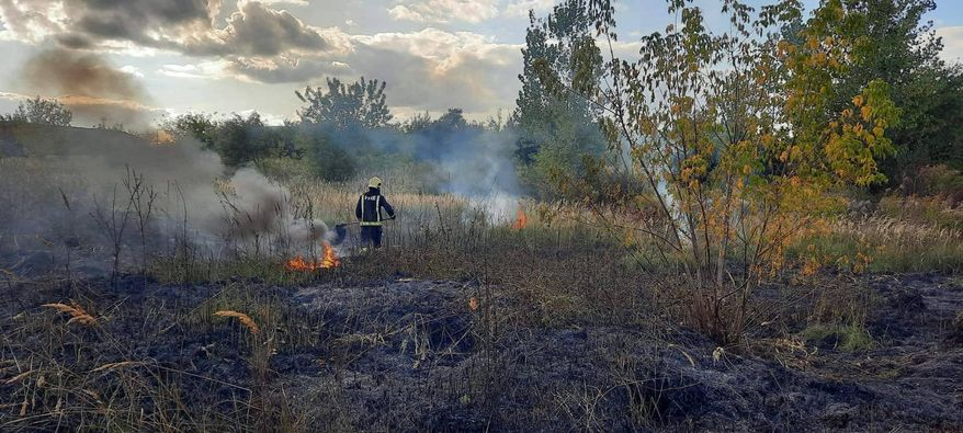 У Луцьку необережні курці спалили майже пів гектара трави (фото)