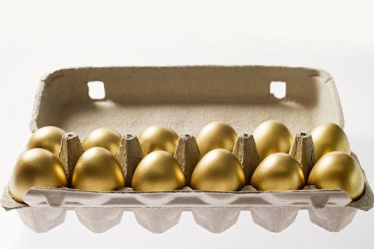 80 грн за десяток: у кого бюджетні заклади Волині купують «золоті» яйця