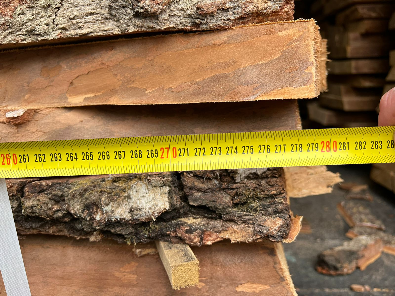 «Липові» документи: через «Ягодин» хотіли провести деревину на понад триста тисяч