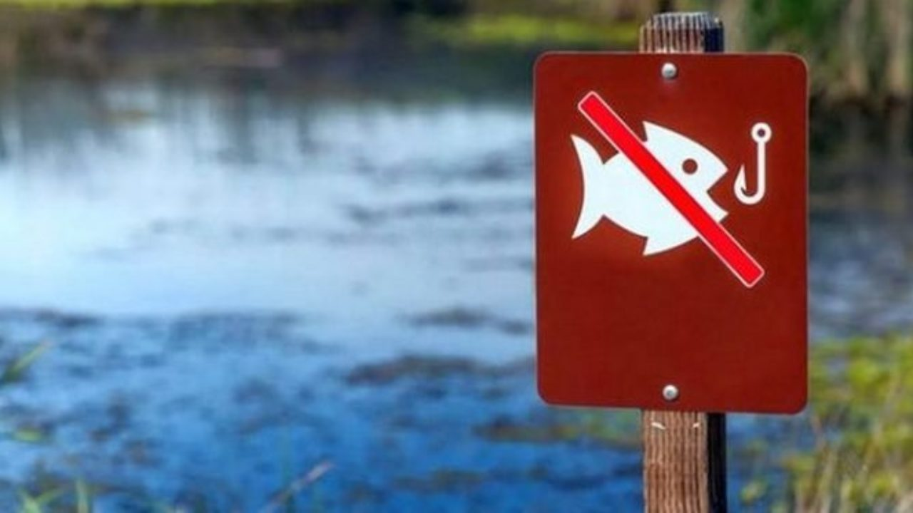 Де на Волині заборонили ловити рибу