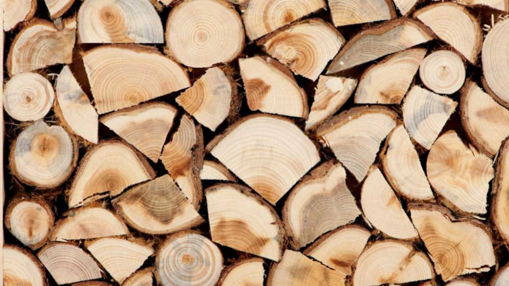 Українці зможуть отримати 16 тис. грн на закупівлю дров, — Шмигаль