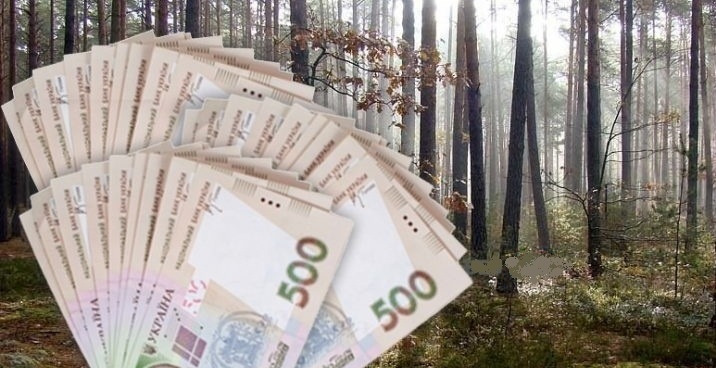 На Волині ексдиректор лісогосподарства розтратив держмайно на понад 14,7 млн грн