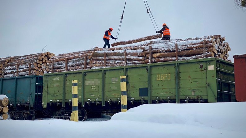 Найбільша партія за рік: на Волині готують до відправлення деревину для ЗСУ (відео)