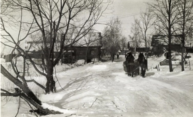 Якою була зима на волинському Поліссі понад 100 років тому