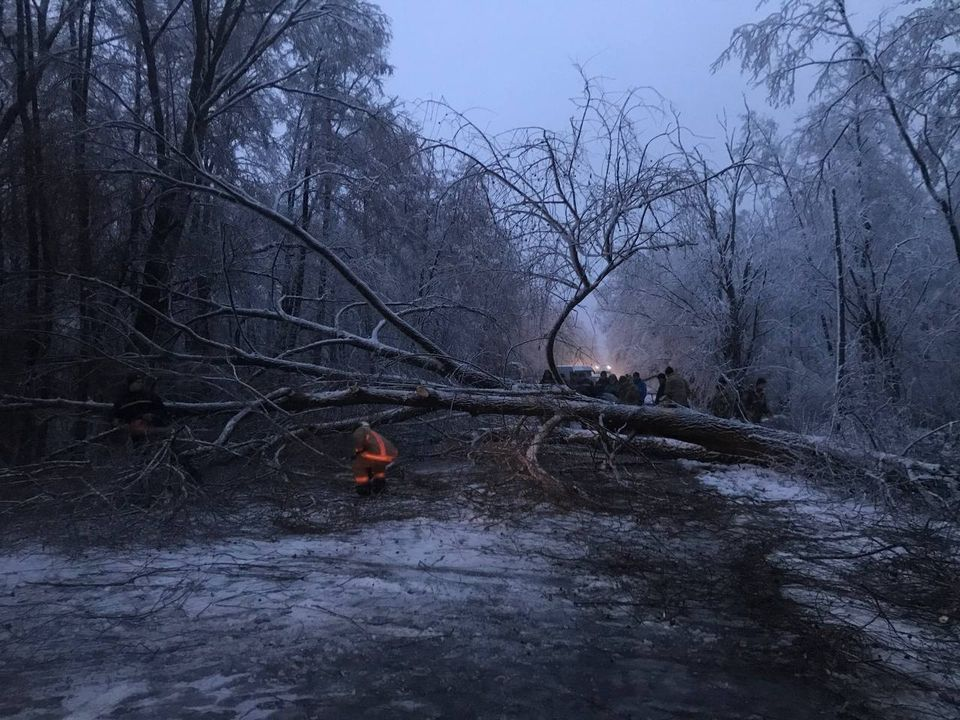 На Ковельщині негода повалила на дорогу дерева (фото)