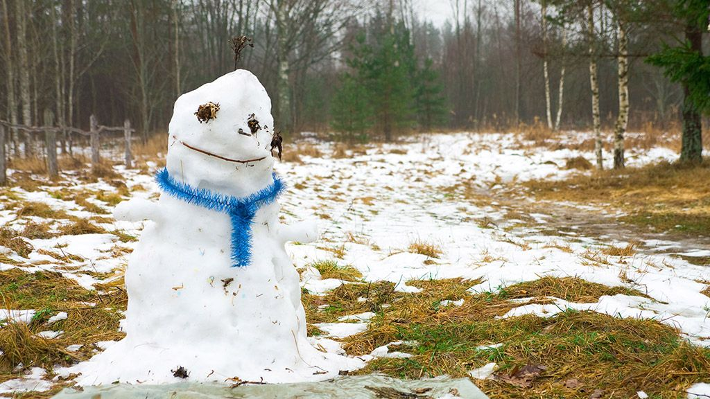 Утретє за зиму: у Луцьку – рекорд температур