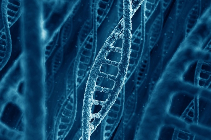 Вчені з'ясували, чи були у наших предків гени розсіяного склерозу та шизофренії