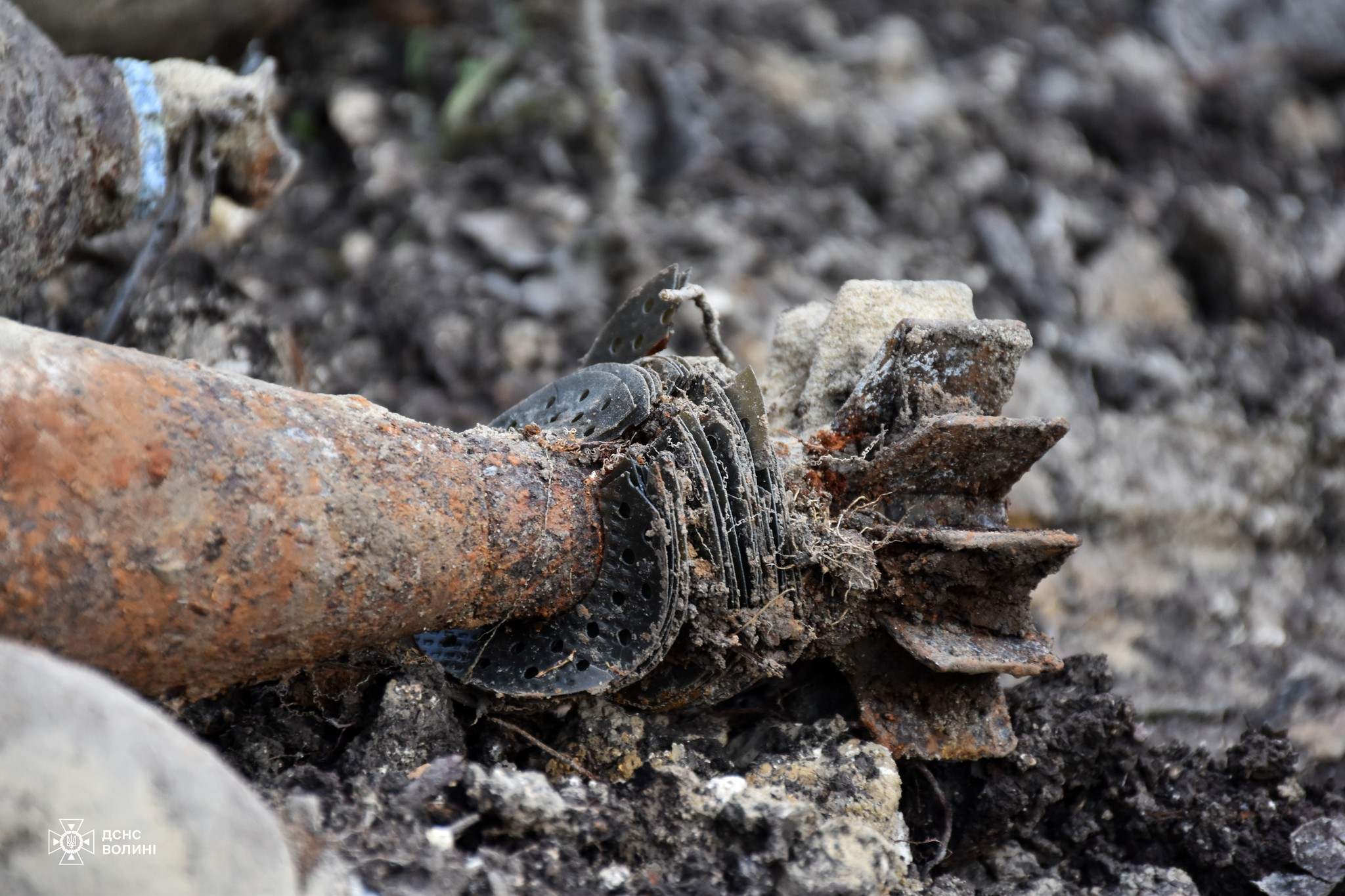 У лісі на Волині знайшли схрон боєприпасів німецької армії часів Другої світової війни (фото)