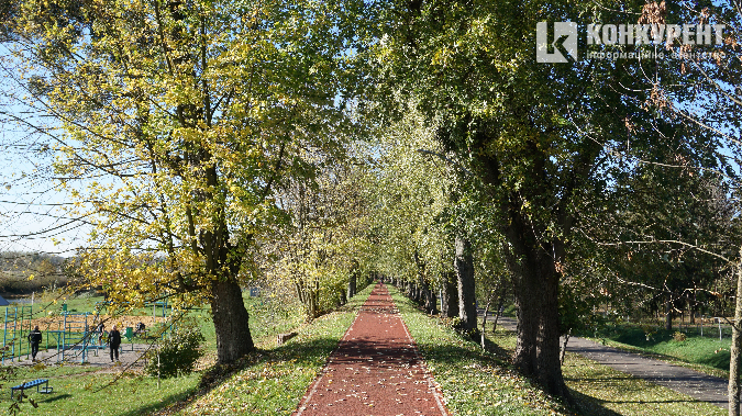 Як у луцькому Центральному парку панує осінь (фото)
